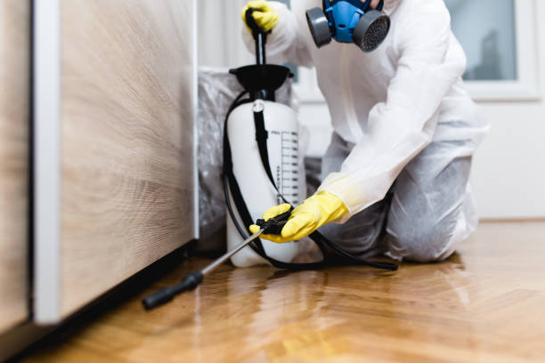 Best Pest Control Near Me  in Makaha, HI