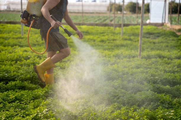 Best Pest Inspection Near Me  in Makaha, HI